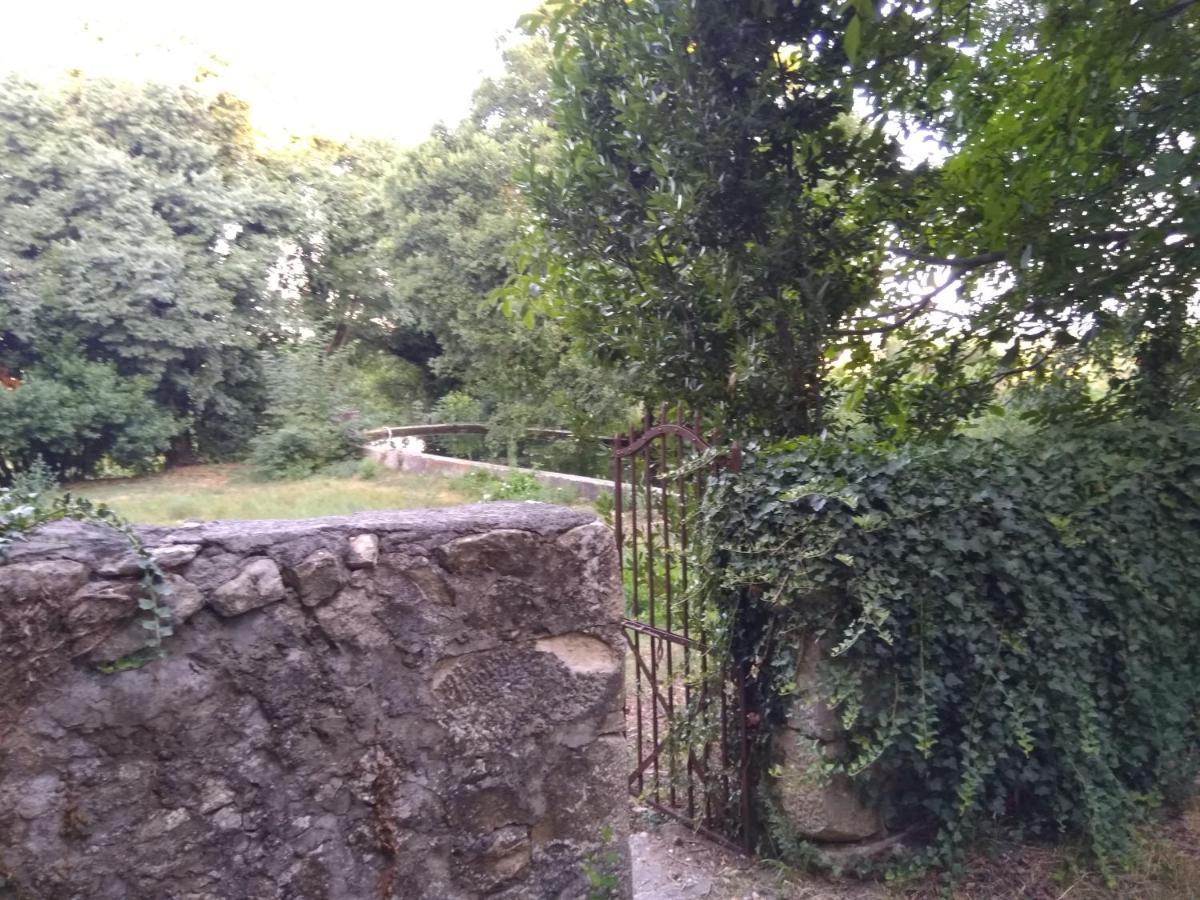 Jankovich Castle Apartment Benkovac Luaran gambar