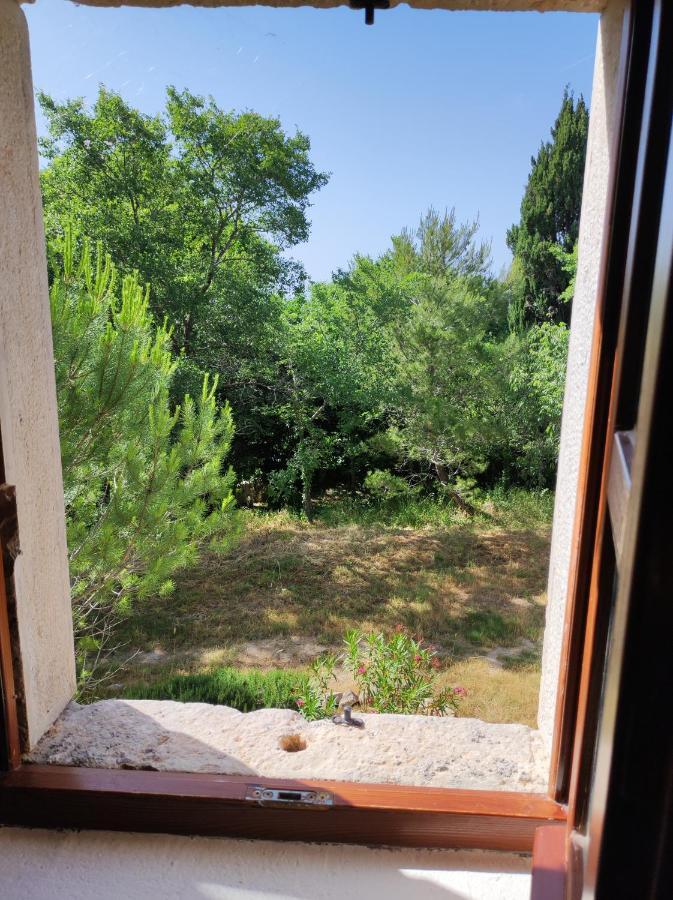 Jankovich Castle Apartment Benkovac Luaran gambar